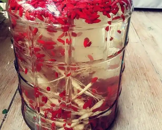 p>白酒泡枸杞可益气健胃,补肾强精,消除疲劳.