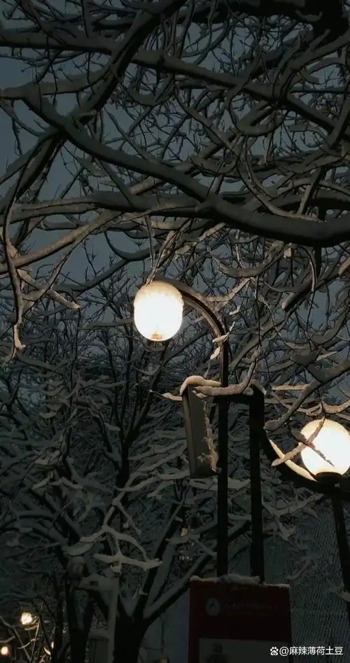 治愈系ins风高壁纸