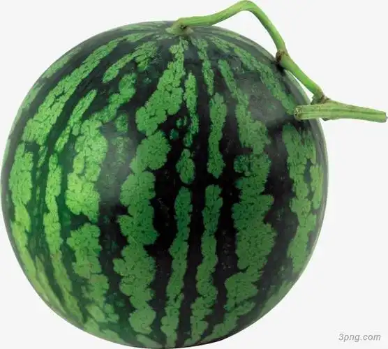 绿色圆形西瓜png素材透明免抠图片-其他元素-三元素3png.com