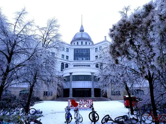 校园初冬(3) 冬雨 · 冻雨 ·雪· 冰挂——吉林大学中心校区 (照片
