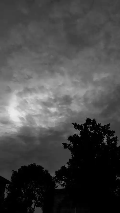 阴天快乐 - 小蔡和她自己