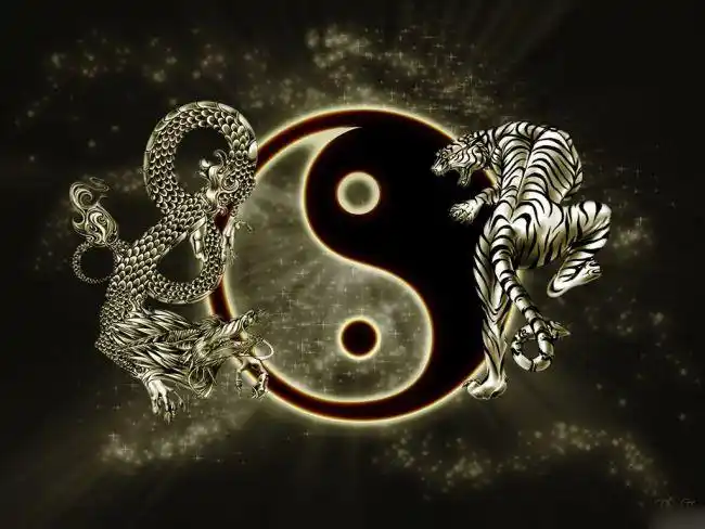 龙虎八卦图1024x768-高清图片-百图汇设计素材