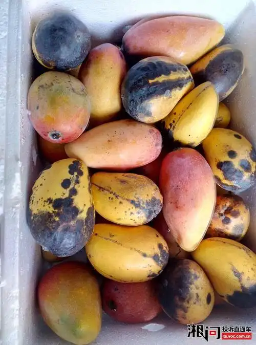 品骏快递未能及时送货导致寄的芒果不能食用