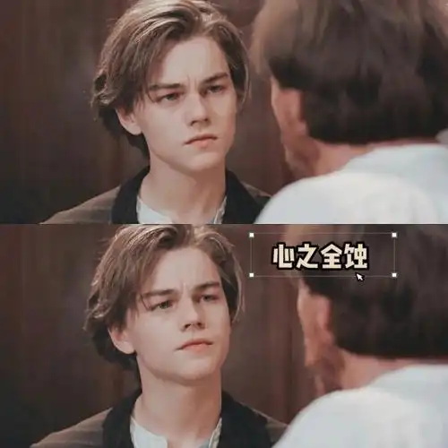 小李子这颜我能粉一辈子