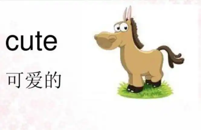 cute英语可爱的意思,用汉语怎么读