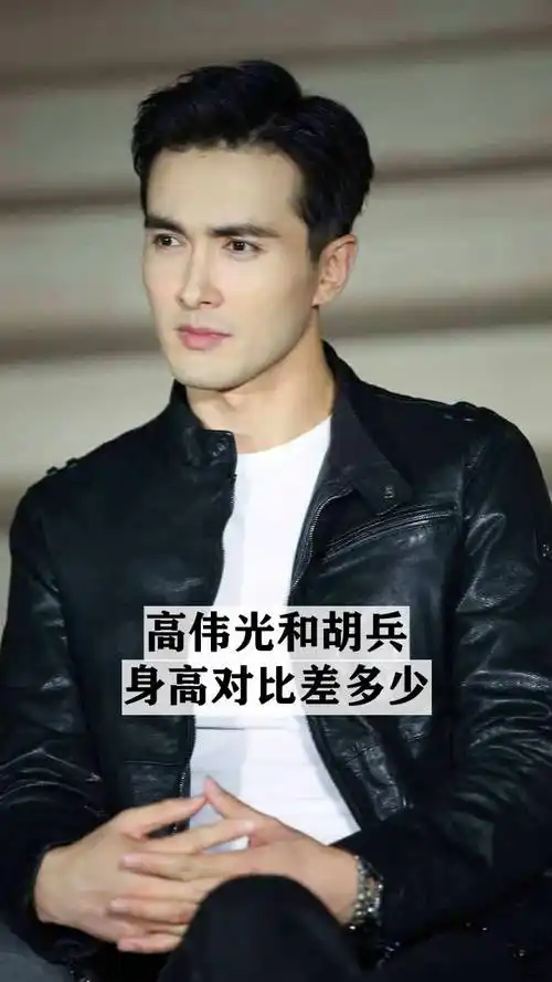高伟光和胡兵身高对比差多少