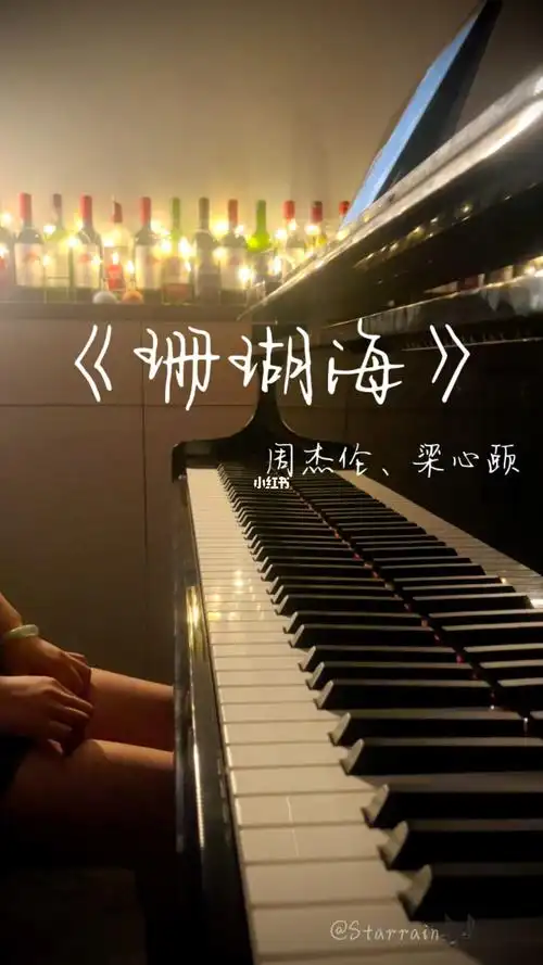 珊瑚海海鸟跟鱼相爱真是一场意外吗