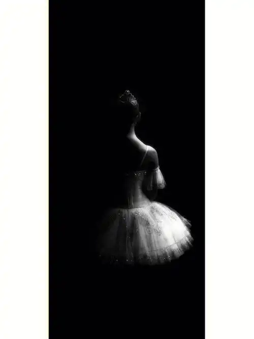 balletto丨02芭蕾壁纸分享黑白向