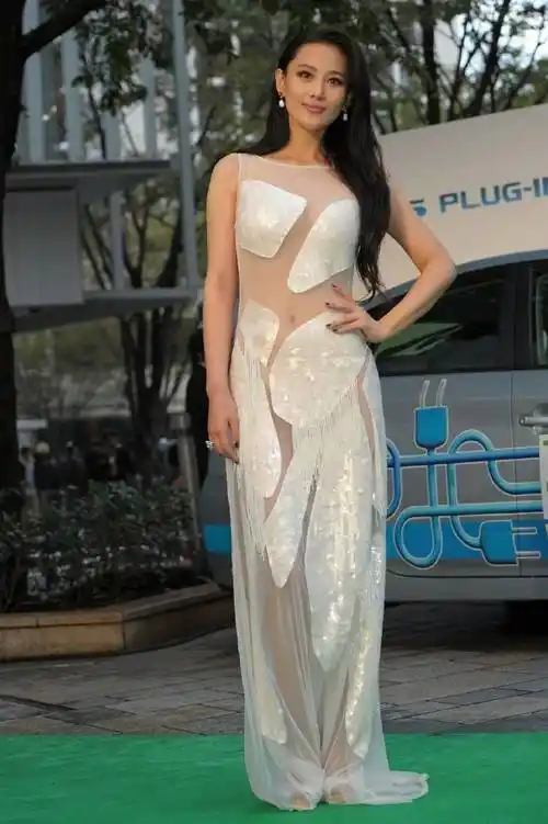 张馨予东京造型大揭秘:薄纱拼接连衣裙太美太透!_效果_魅力_透视