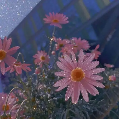 blingbling的神仙背景图_唯美图片_我要个性网