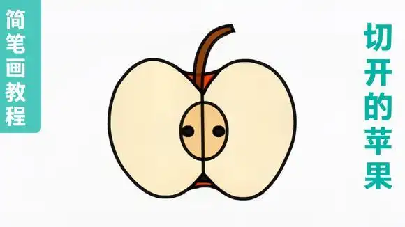切开的苹果简笔画教程,儿童宝宝幼儿学画水果,亲子益智美术绘画-母婴