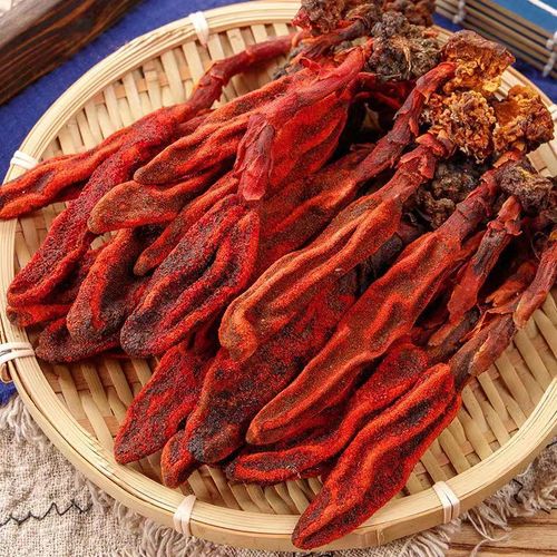 不老草起阳草男性滋补锁阳肉苁蓉淫花果枸杞组合回春草野生新鲜