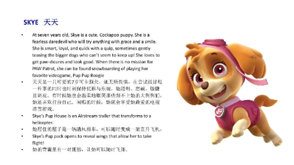 美国原版音乐舞台剧《汪汪队立大功-救援先锋》