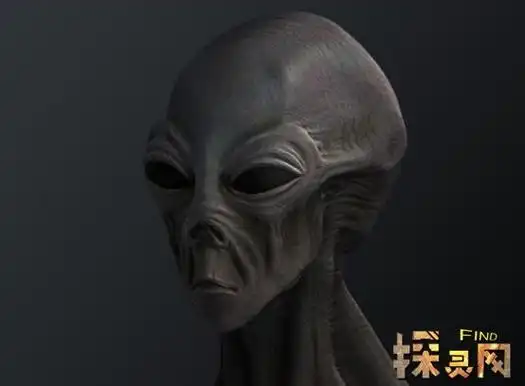 要知道咱们世界各国都投入了那么多的精力和钱财去找寻外星人和