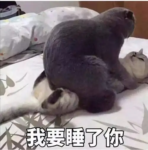 一看他发的表情包就知道是个高级渣男