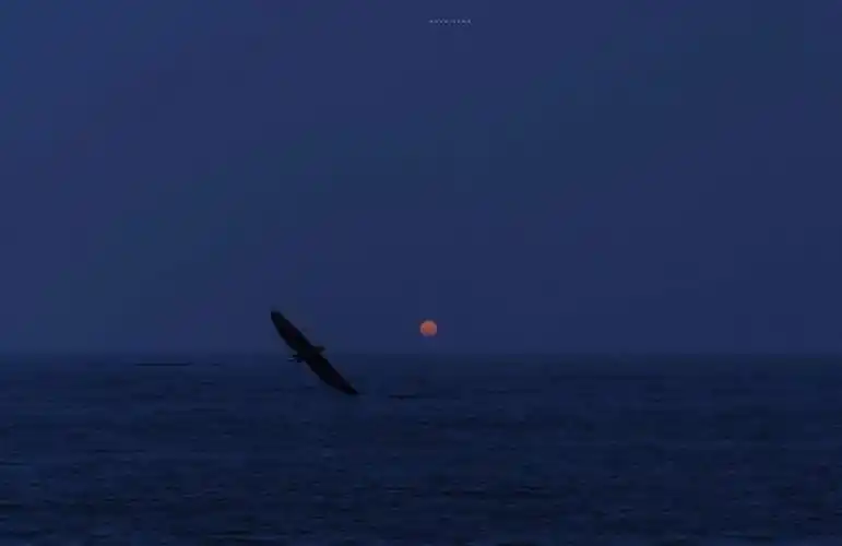 ins风背景图 - 堆糖,美图壁纸兴趣社区