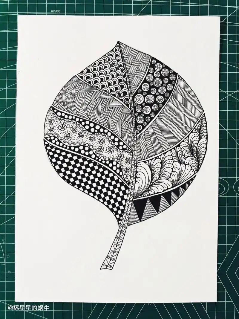 线描创作‖原创黑白线描画《叶子》图文版 一片叶,两片叶,片片叶,将你