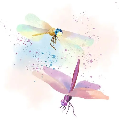 9月快到了画点简单的小蜻蜓