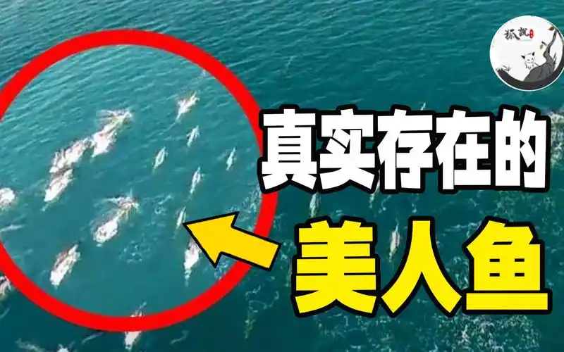 苏联海上无人机拍到人鱼露出水面震惊全美人鱼是否真实存在