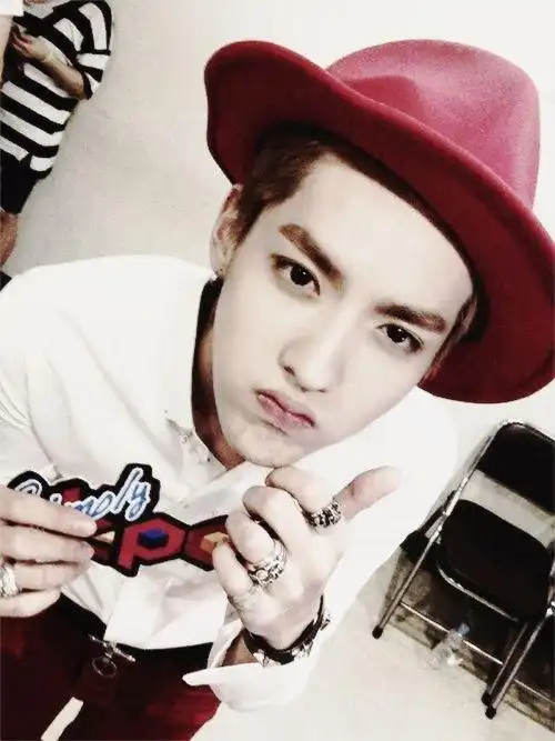 kris # mr_凡先生 #吴亦凡
