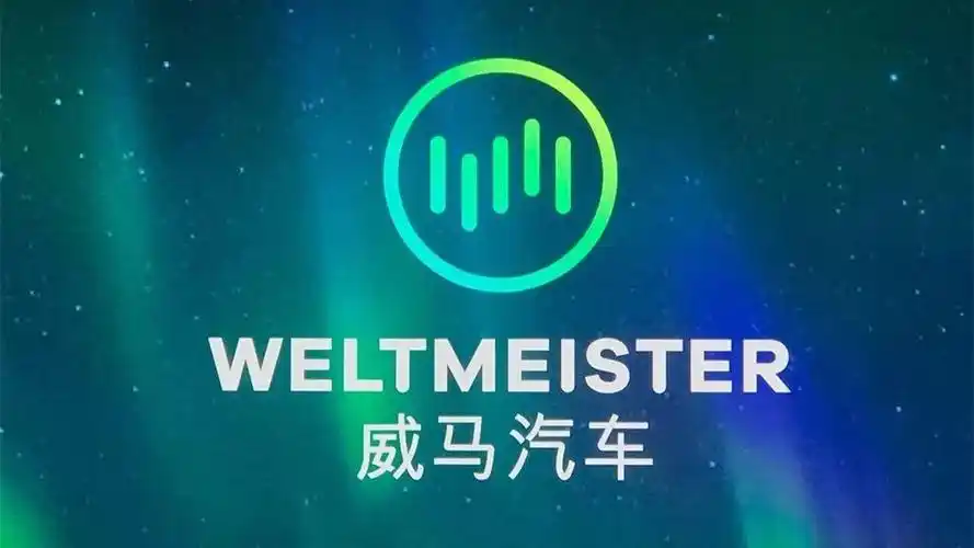 威马汽车品牌正式发布第一款纯电suv卖20万起