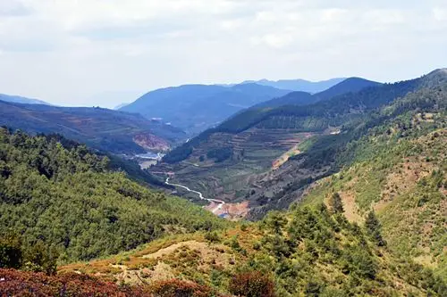 禄劝马鹿塘杜鹃谷游记