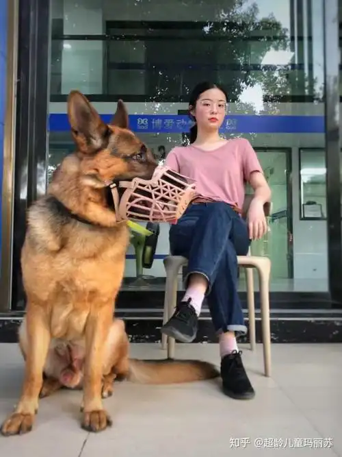 为什么有的人喜欢养大型犬呢?