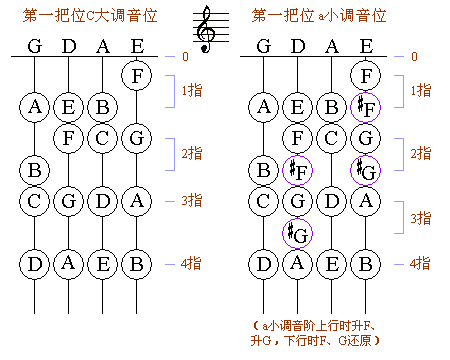小提琴基本指法