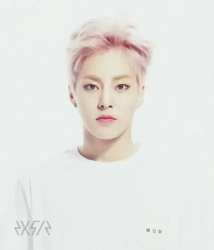 求exo这张的12个成员的单人照