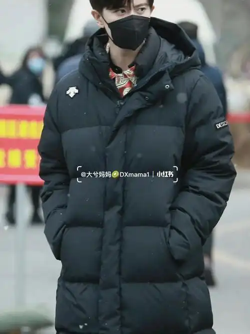 迪桑特任嘉伦同款