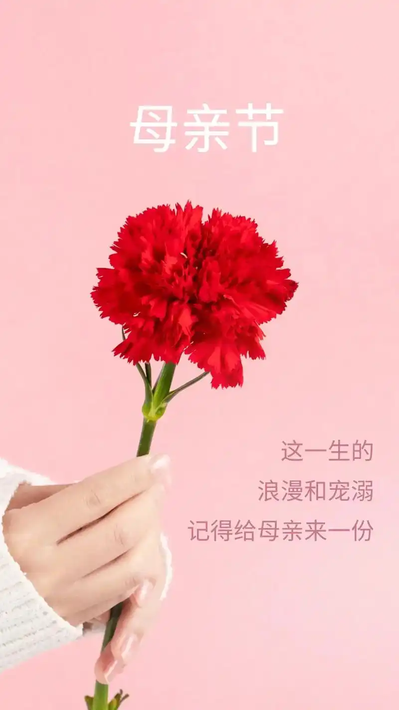 祝所有母亲,节日快乐!#母亲节#母亲节海报 #母亲节图片  - 抖音
