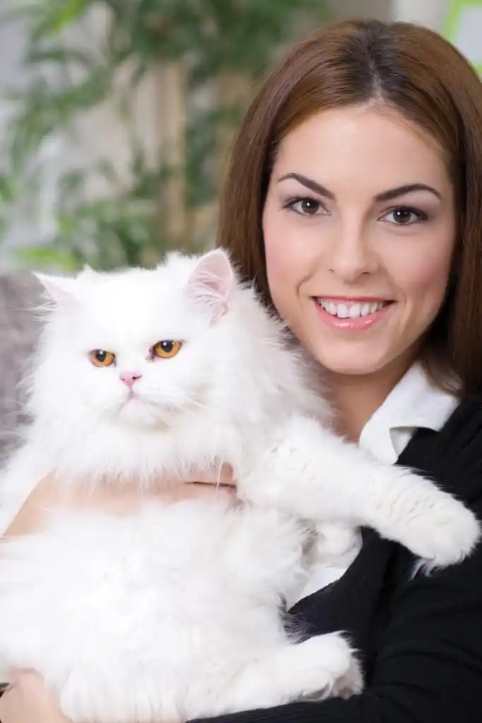 年轻的女孩抱着一只白色波斯猫