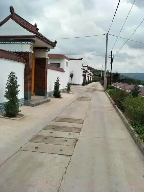 甘肃省平凉市庄浪县水洛镇吊沟村新农村一角