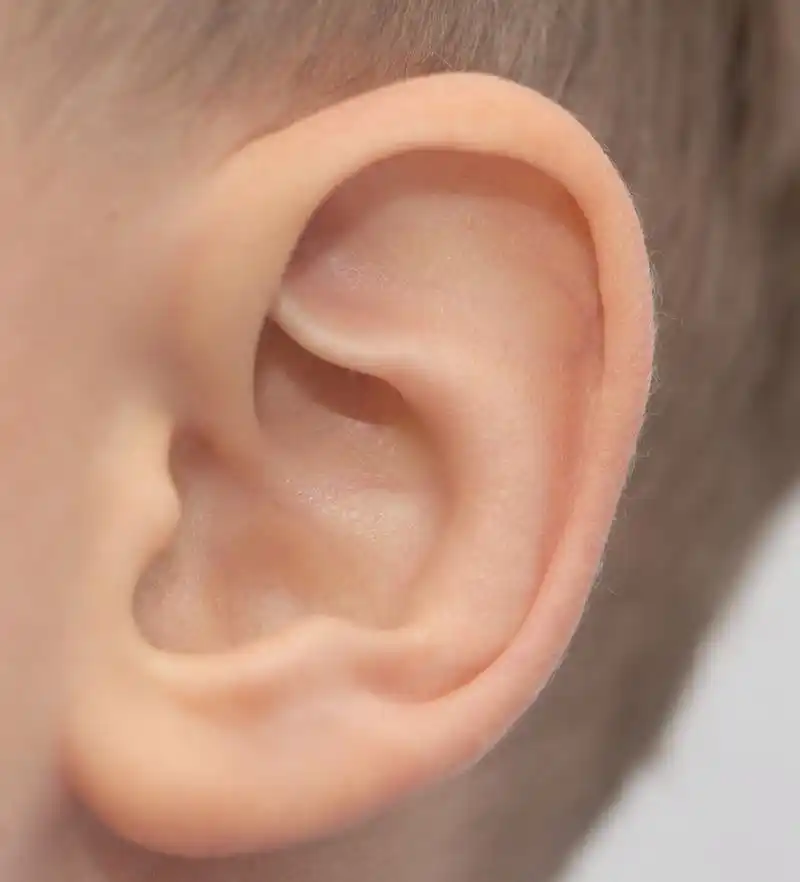 孩子的耳朵.宏观