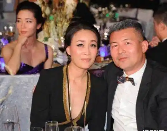 那英丈夫背景强大,才华出众能力一流,对继子视如己出宠妻如命!