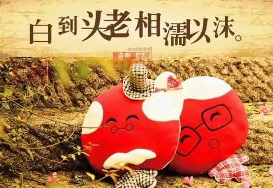 写在结婚二十周年纪念日