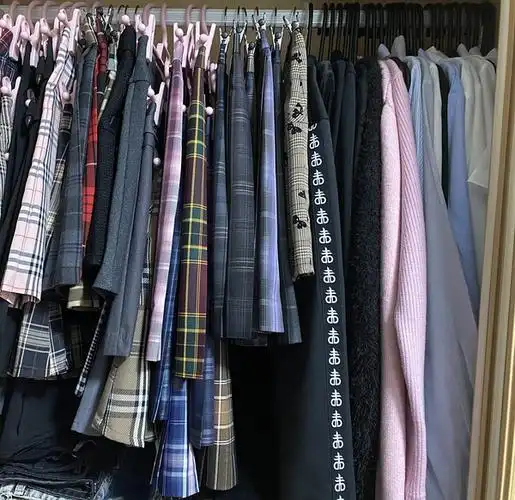 想看大家拍的衣柜裙子图