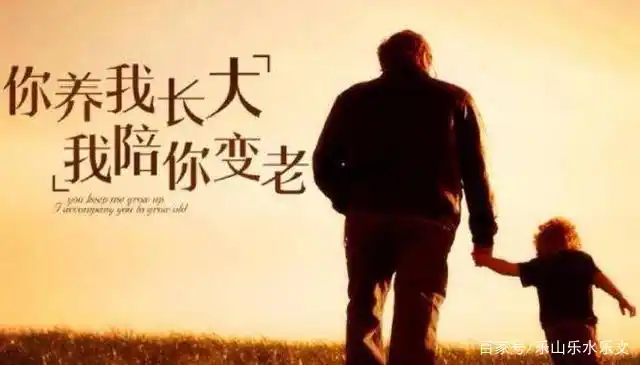 父母老了,多回家看看