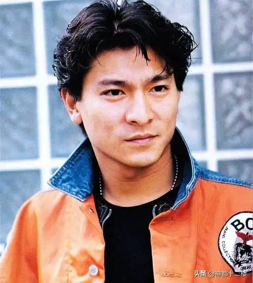 香港10大最有演技的男明星,刘德华上榜,周星驰只能排第三_中国_电影界