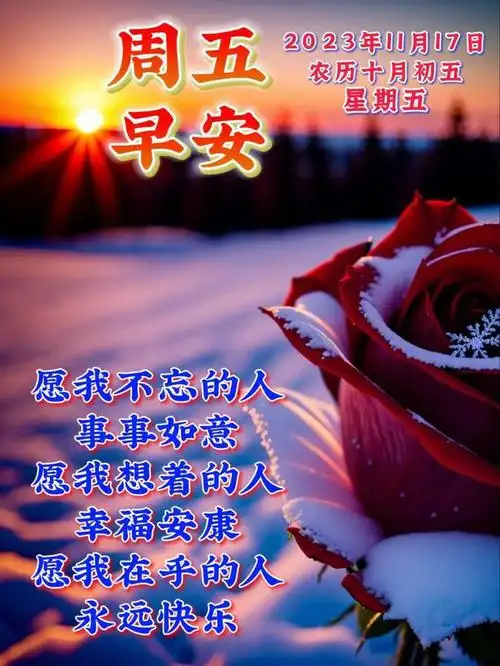 快乐|清晨|晨光|早上好_网易订阅