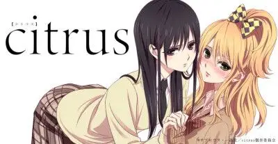 citrus柑橘味香气