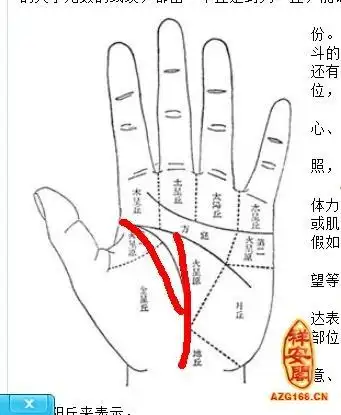 生命线分叉成两根图解