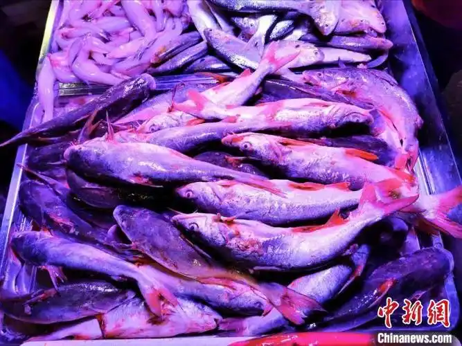 台山海鲜市场上冰鲜销售的"暗丁"鱼.李晓春 摄