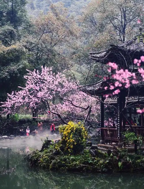 桃花源景区( 桃花源景区最佳旅游时间 )