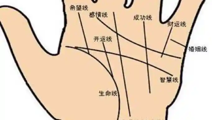 智慧线在手心弯折向下_掌纹图解财运线图片_手心财运线哪一条