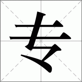 专的解释,专的意思