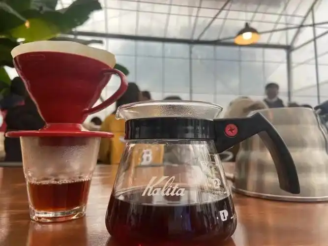 【活动招募】5月18日,上海湾区百人手冲咖啡活动招募