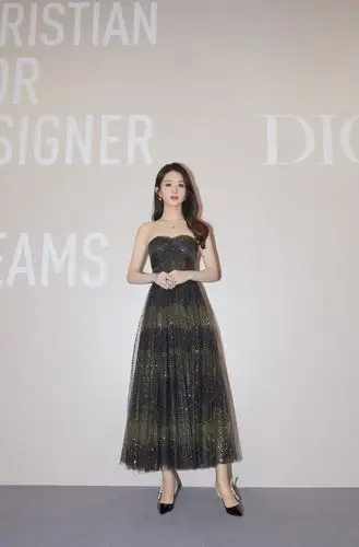赵丽颖 迪奥2021早春成衣系列发布秀