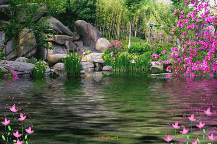 750_500gif 动态图 动图