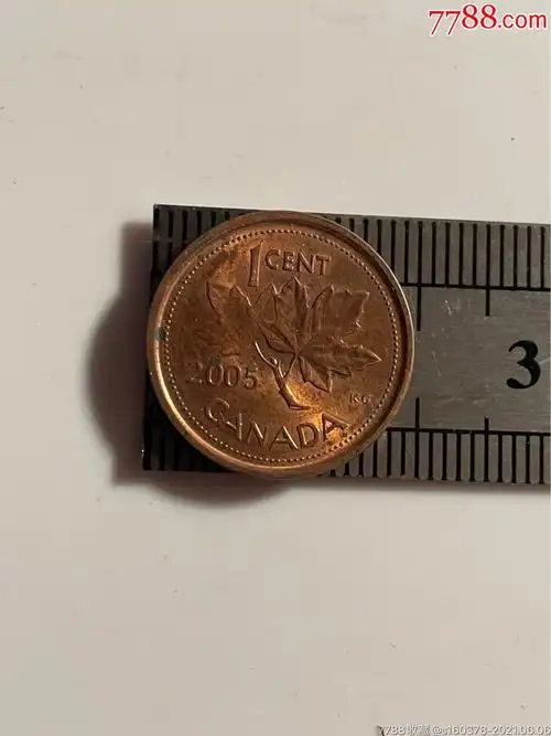 2005年加拿大枫叶1分铜币外国硬币